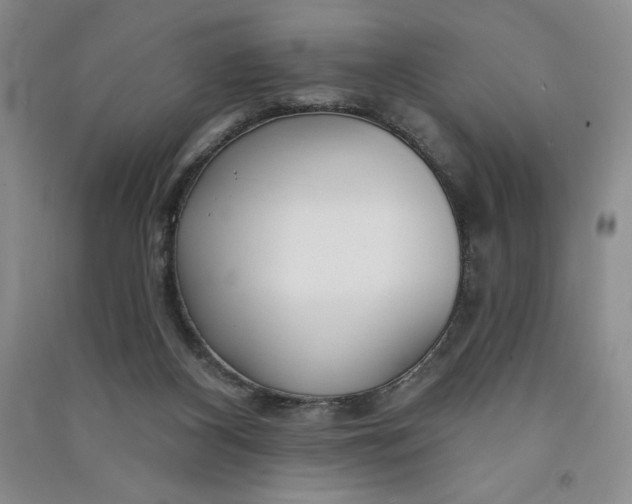 X0000090870116200708171633