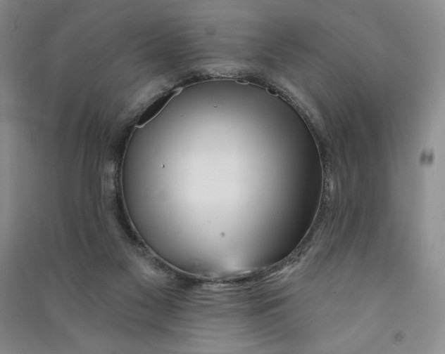 X0000090870117200708171633