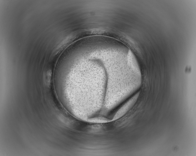 X0000090870118200708171633