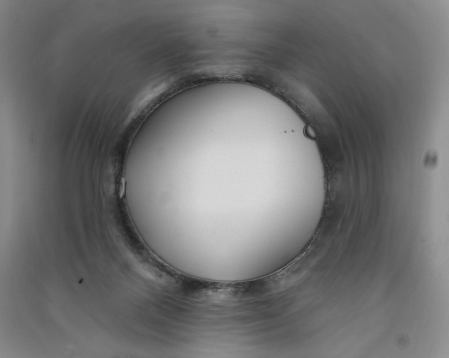 X0000090870120200708171633