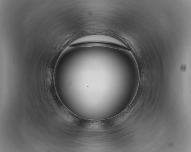 X0000090870121200708171633