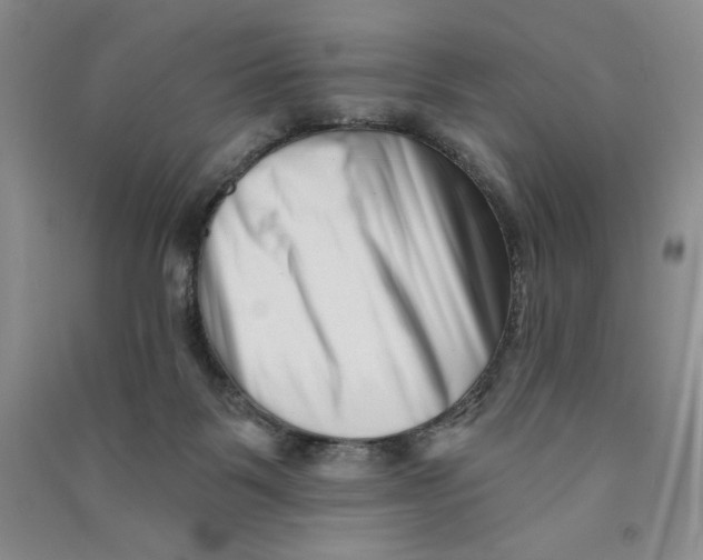 X0000090870123200708171633