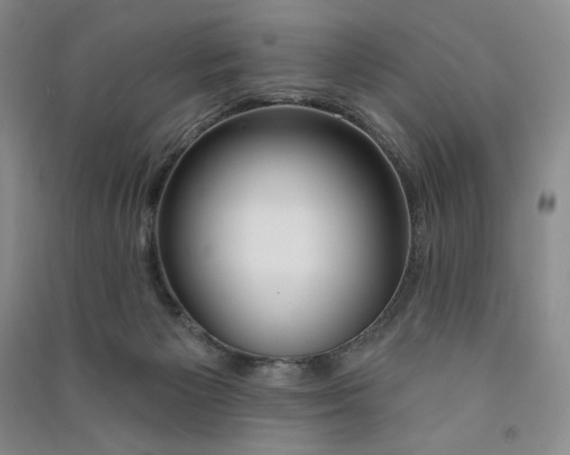 X0000090870125200708171633