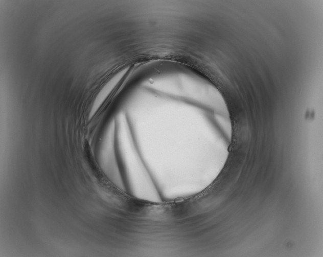 X0000090870126200708171633