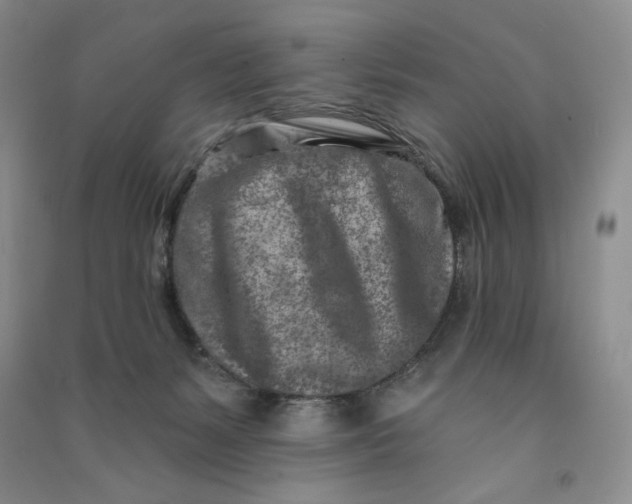 X0000090870127200708171633