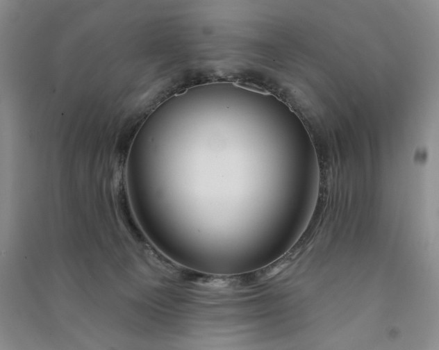 X0000090870129200708171633