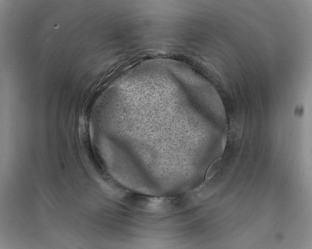 X0000090870130200708171633