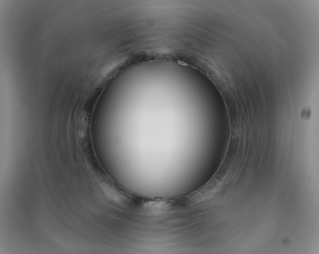 X0000090870133200708171633