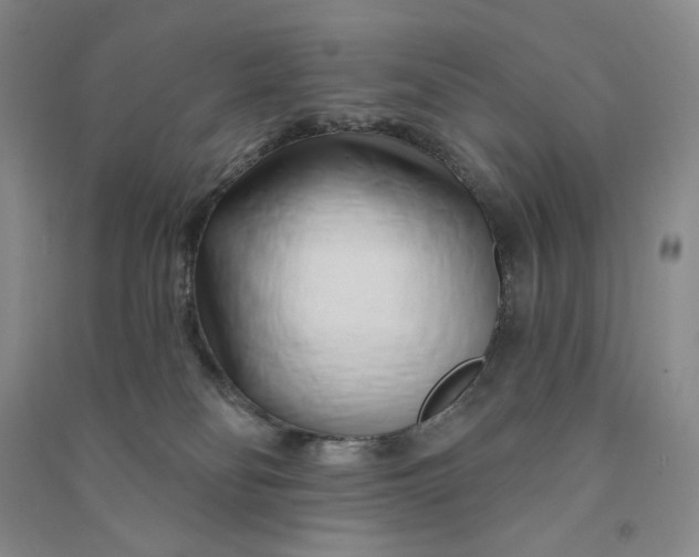 X0000090870134200708171633