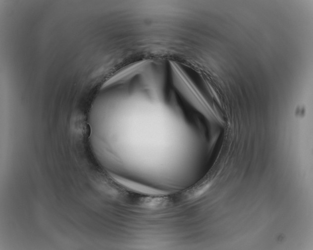 X0000090870135200708171633