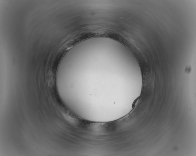 X0000090870136200708171633