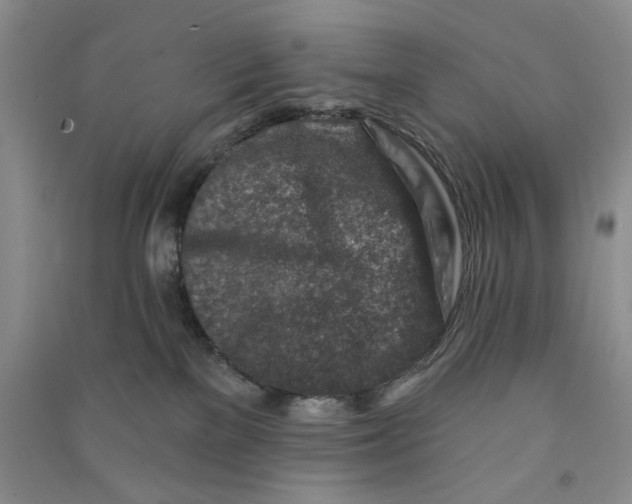 X0000090870137200708171633