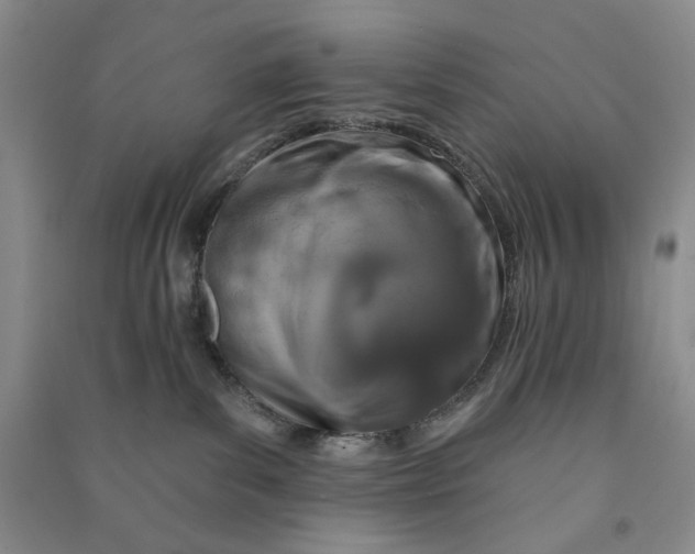 X0000090870139200708171633