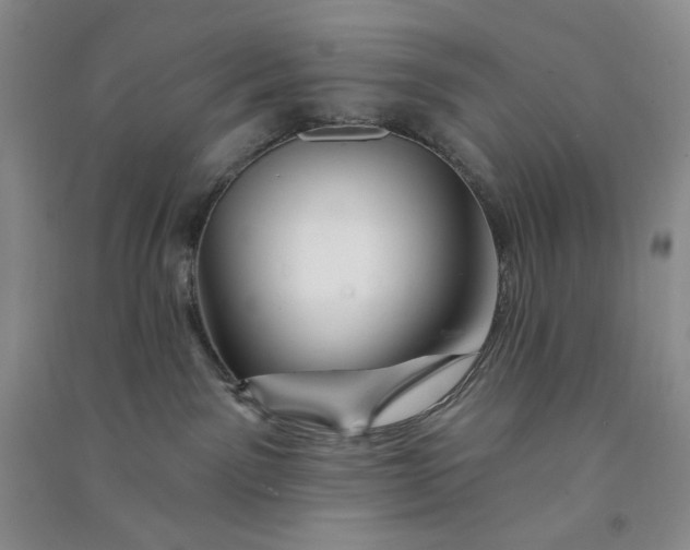 X0000090870141200708171633