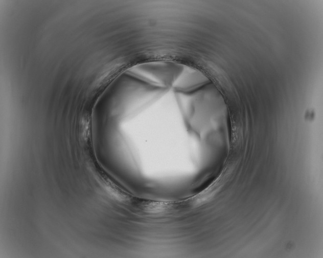 X0000090870142200708171633