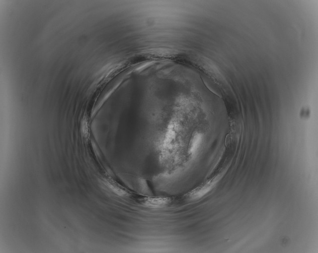 X0000090870143200708171633