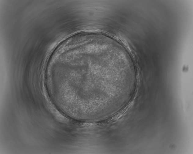 X0000090870145200708171632