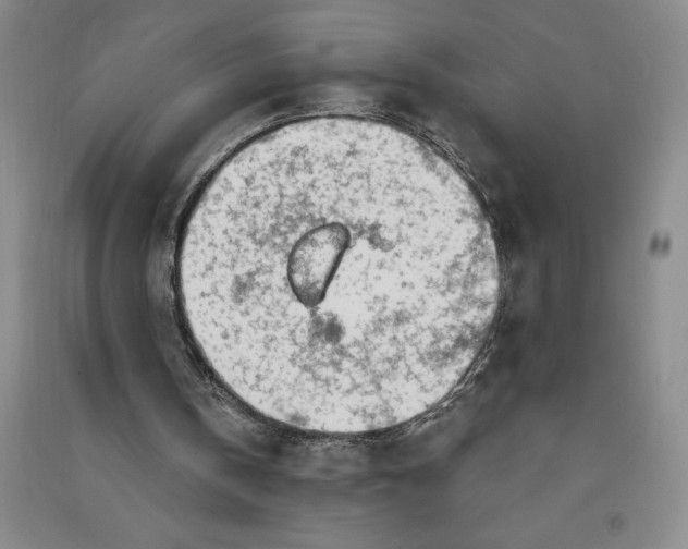 X0000090870146200708171632