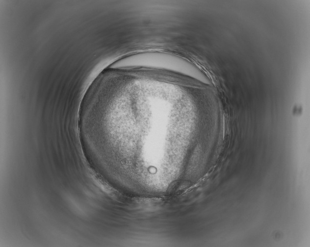 X0000090870147200708171632