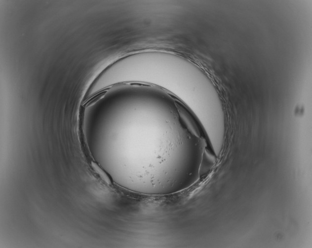 X0000090870148200708171632