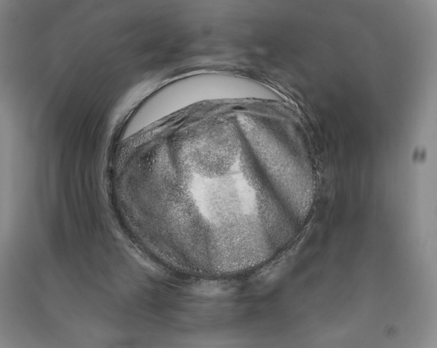 X0000090870149200708171632