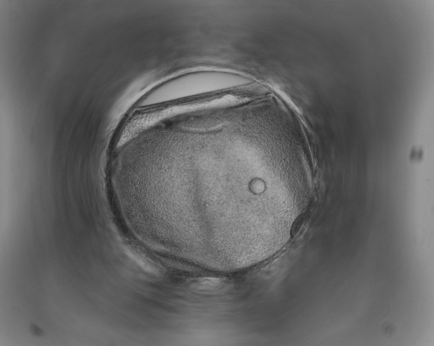 X0000090870151200708171632