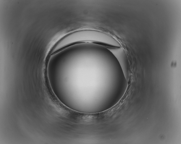 X0000090870152200708171632