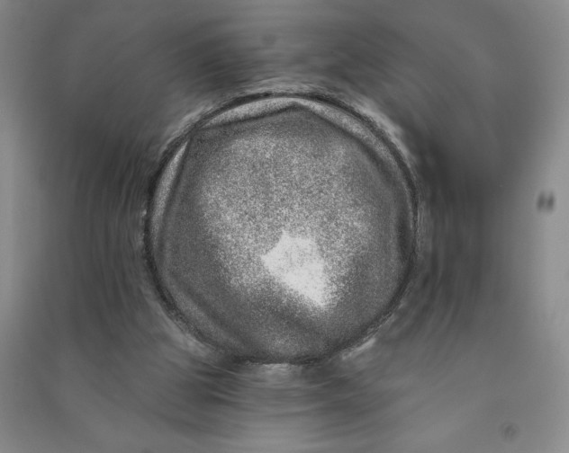 X0000090870153200708171632