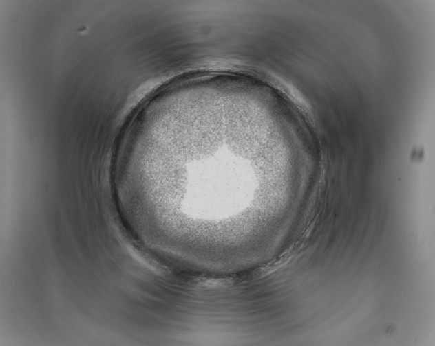 X0000090870155200708171632