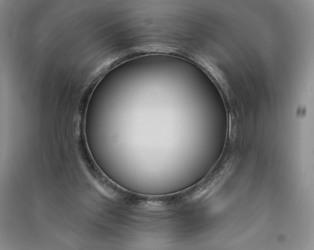 X0000090870157200708171632