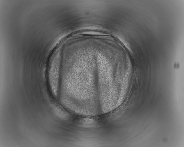 X0000090870159200708171632