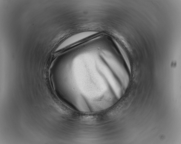 X0000090870161200708171632