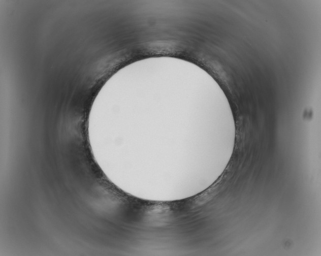 X0000090870162200708171632