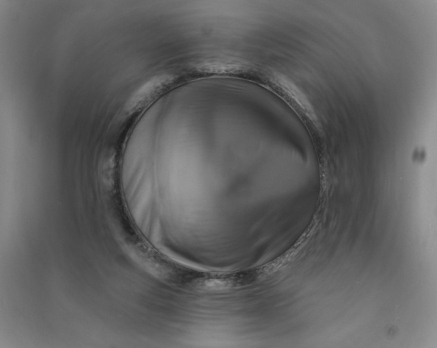 X0000090870163200708171632