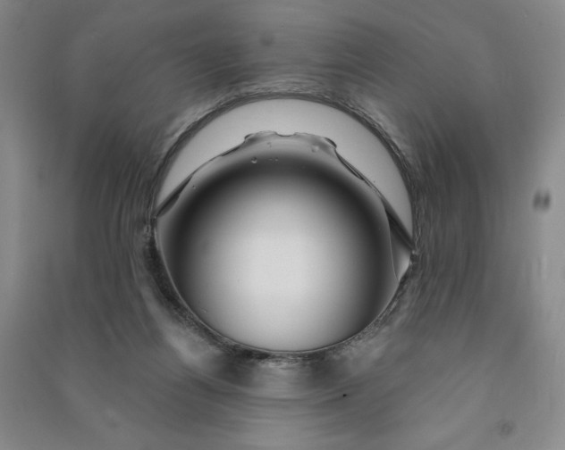 X0000090870164200708171633