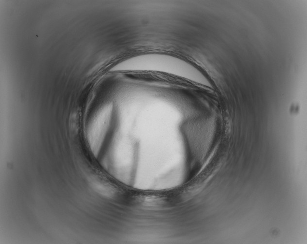 X0000090870165200708171633