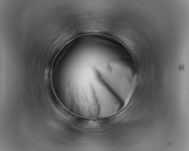 X0000090870166200708171633