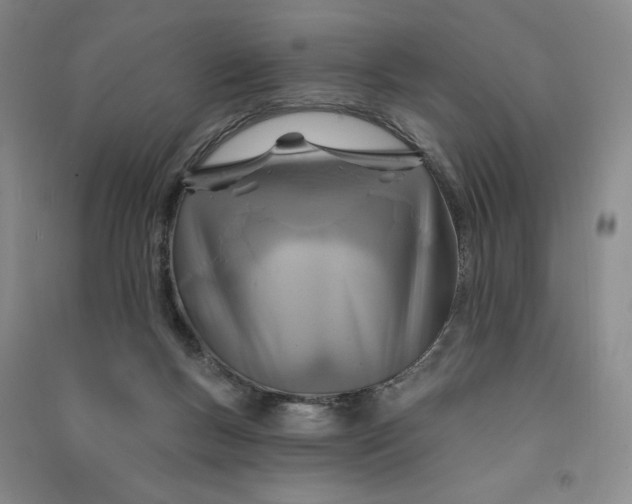 X0000090870167200708171633