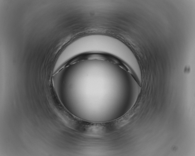 X0000090870168200708171633