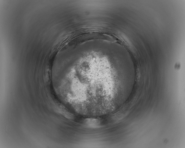 X0000090870169200708171633