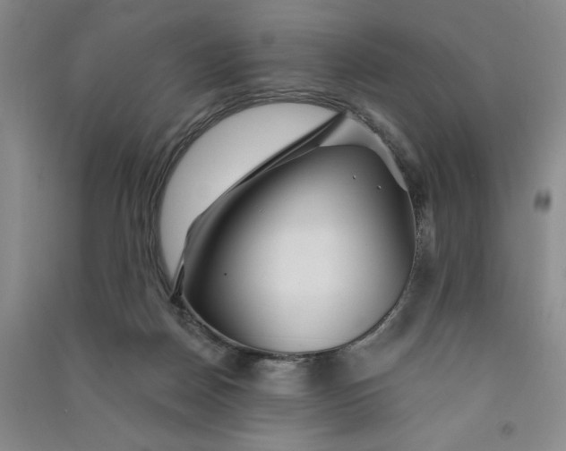 X0000090870170200708171633