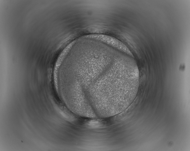 X0000090870171200708171633