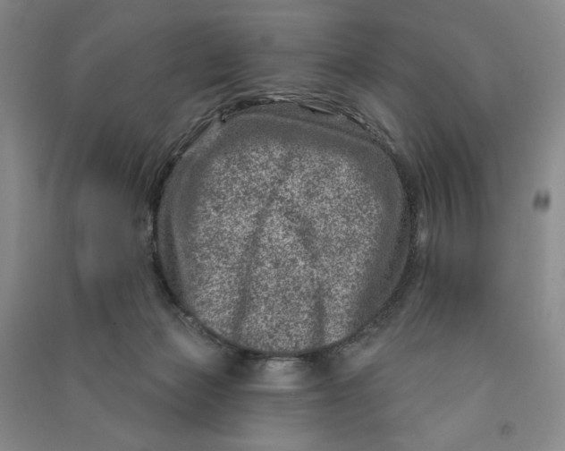 X0000090870173200708171633