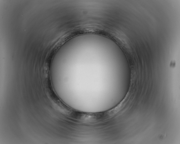 X0000090870174200708171633