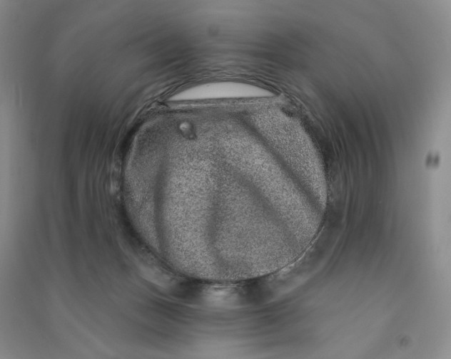 X0000090870175200708171633