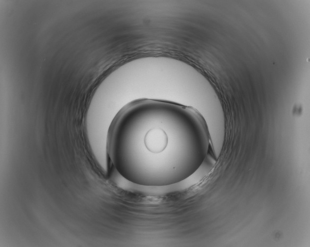 X0000090870176200708171633