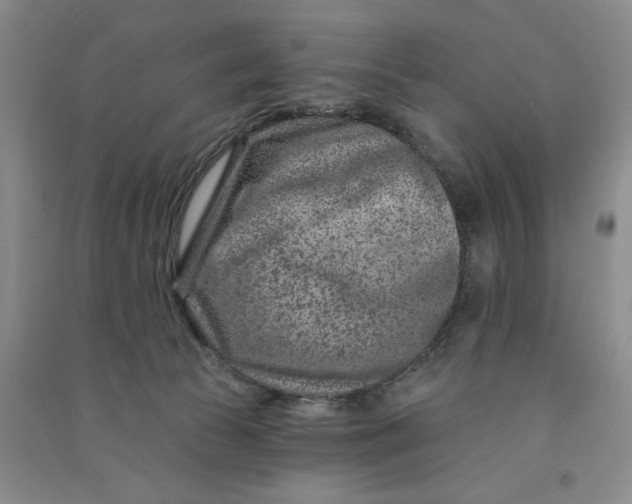 X0000090870177200708171633