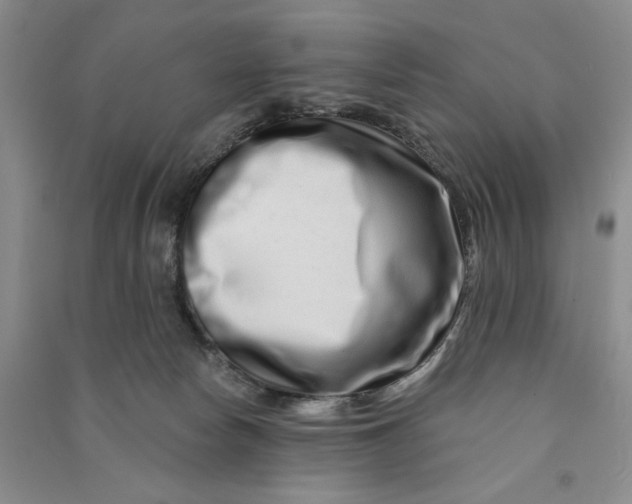 X0000090870178200708171633