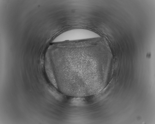 X0000090870179200708171633