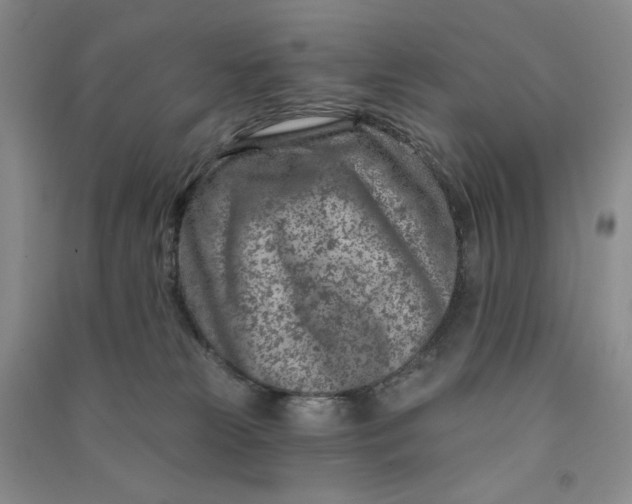 X0000090870181200708171633